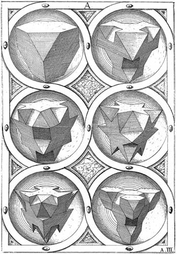 wentzel jamnitzer's polyhedra