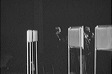 bild_05